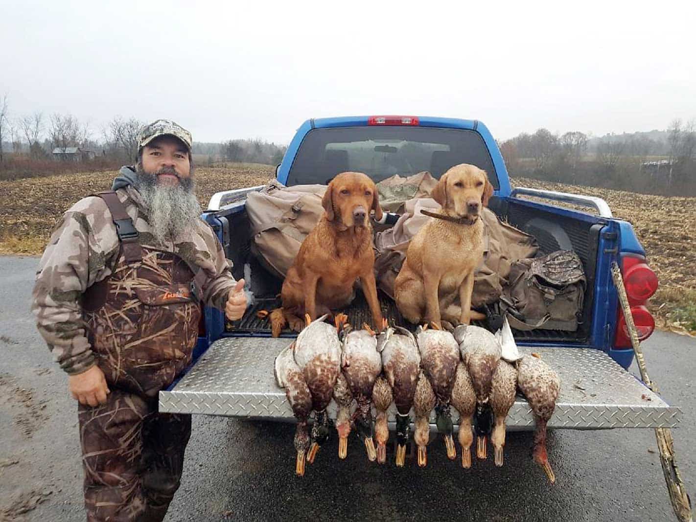 La chasse au canard débute ce matin Le Journal de Québec