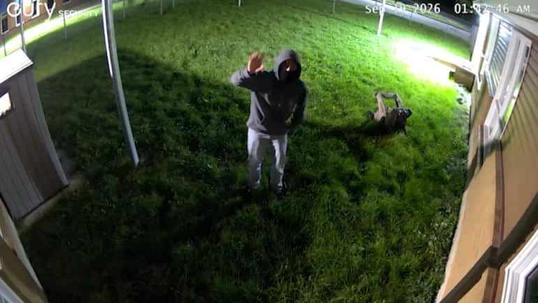 IMAGES | Jouets brisés, caméras volées, toits détruits: des milliers de dollars en vandalisme dans un CPE de Gatineau