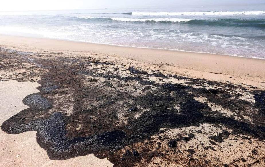 Image principale de l'article La Californie touchée par une marée noire
