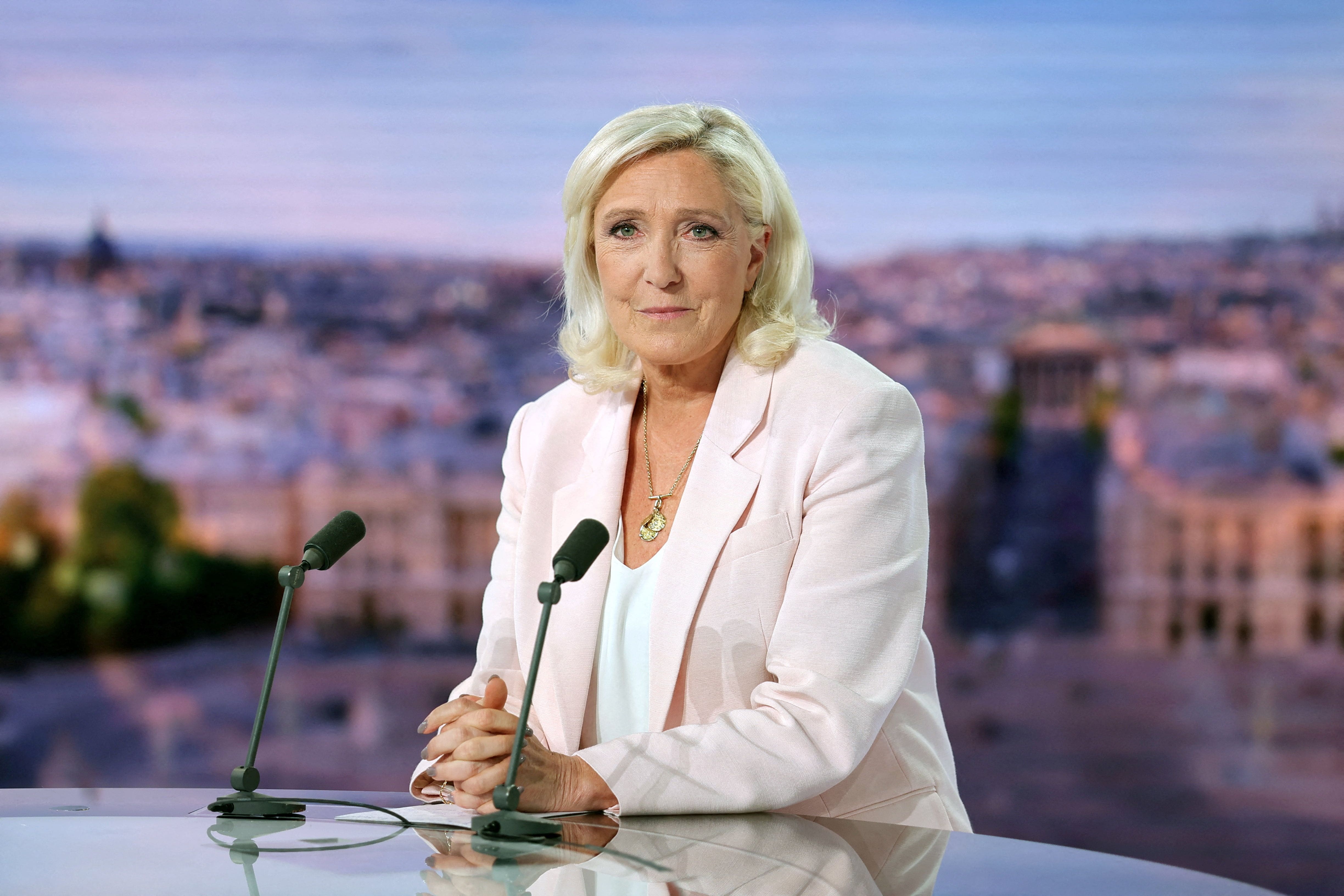 Facing Marine Le Pen, who are the presidential candidates in France?