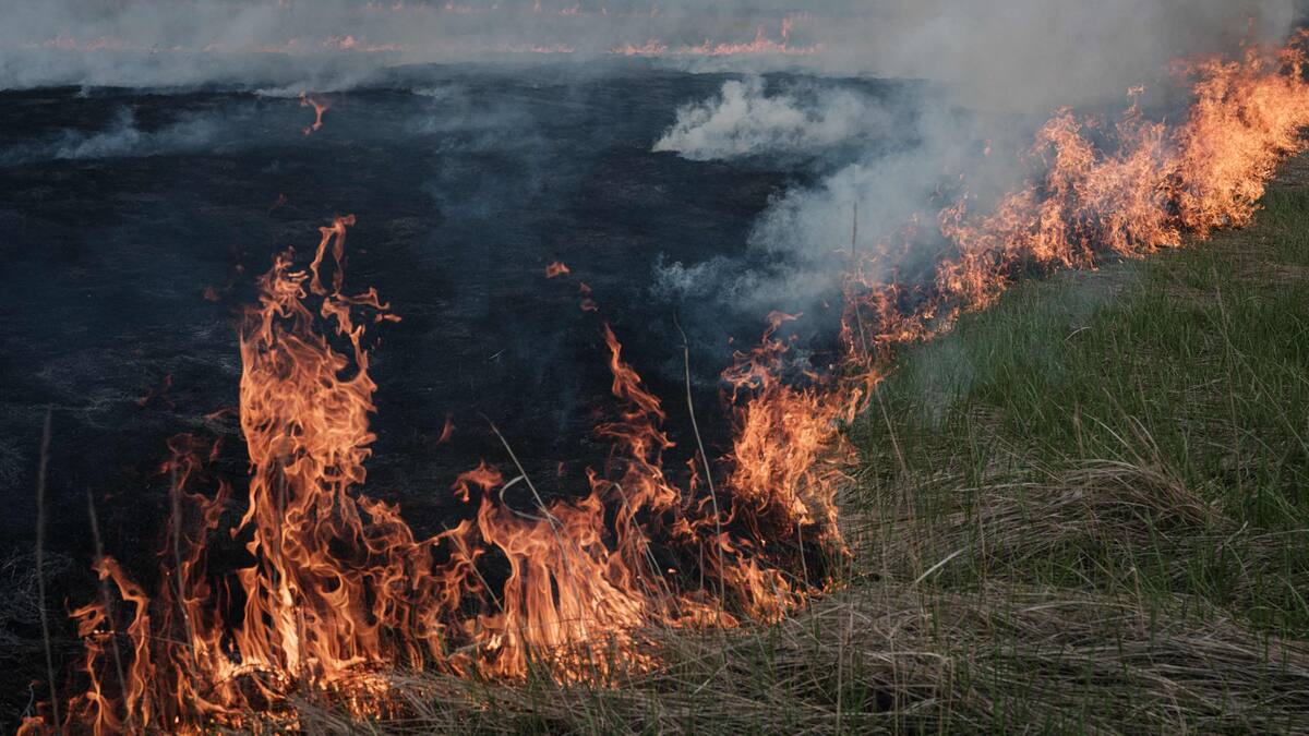Les champs en flammes témoignent de l'avancée russe