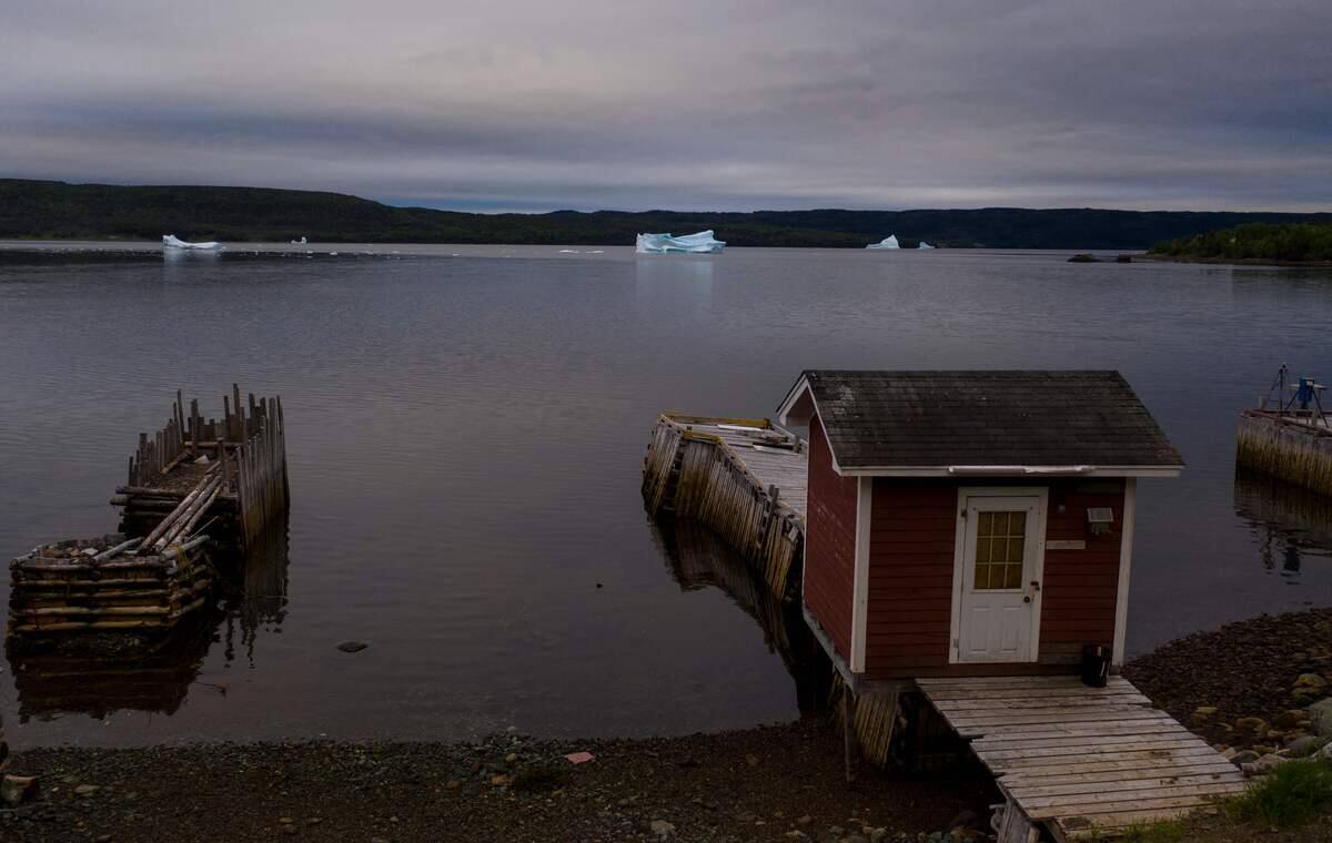 Ottawa met fin &agrave; un moratoire de 32 ans sur la p&ecirc;che &agrave; la morue d'Atlantique nord