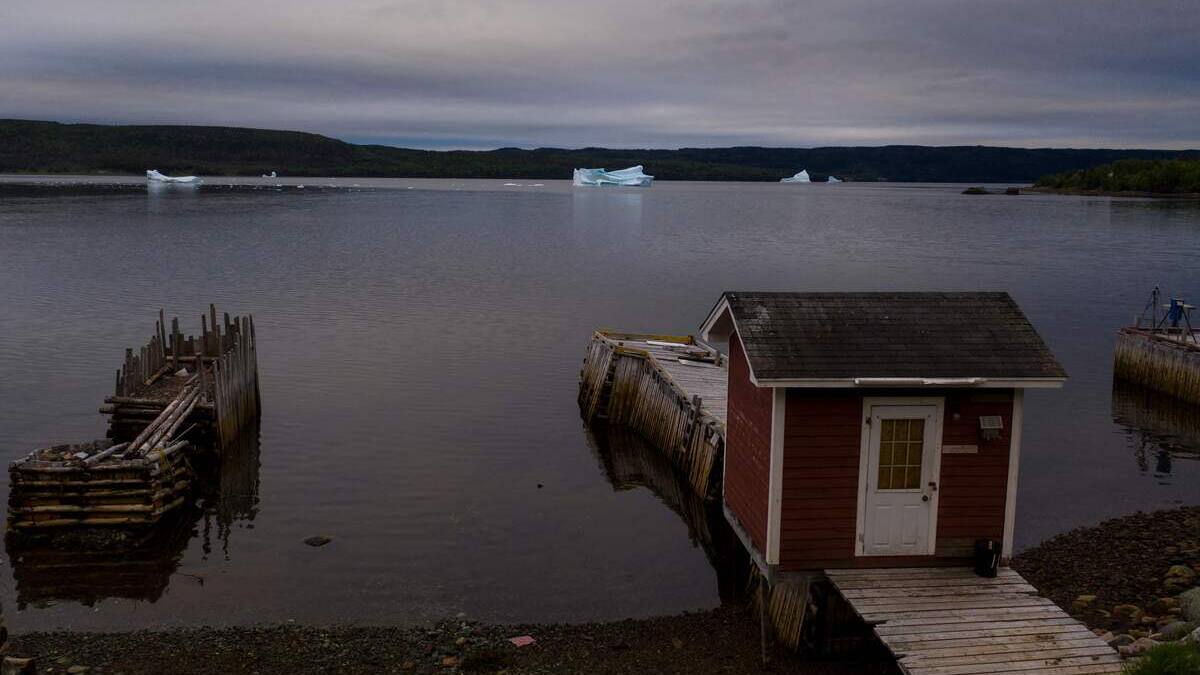 Ottawa met fin à un moratoire de 32 ans sur la pêche à la morue d'Atlantique nord