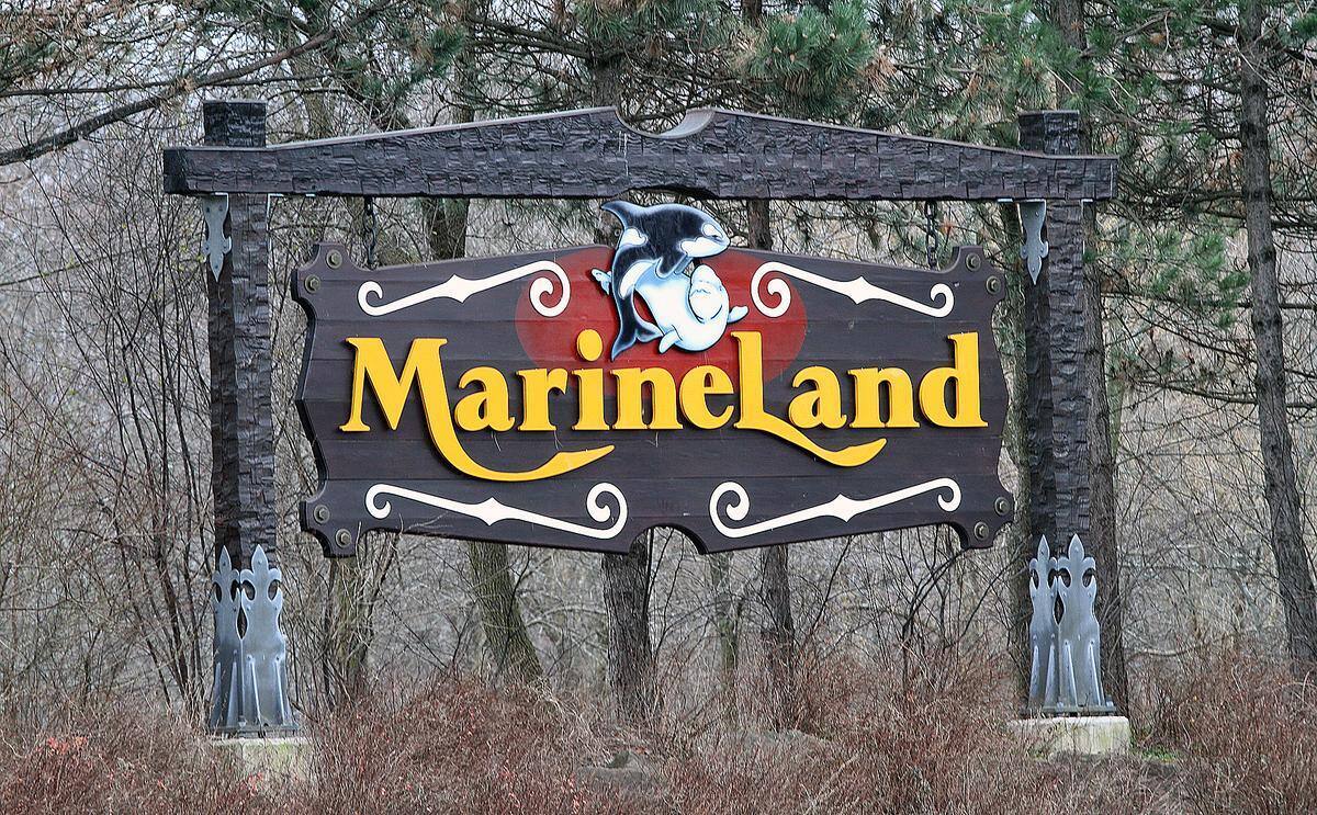 Une accusation d&eacute;pos&eacute;e contre le parc Marineland &agrave; Niagara