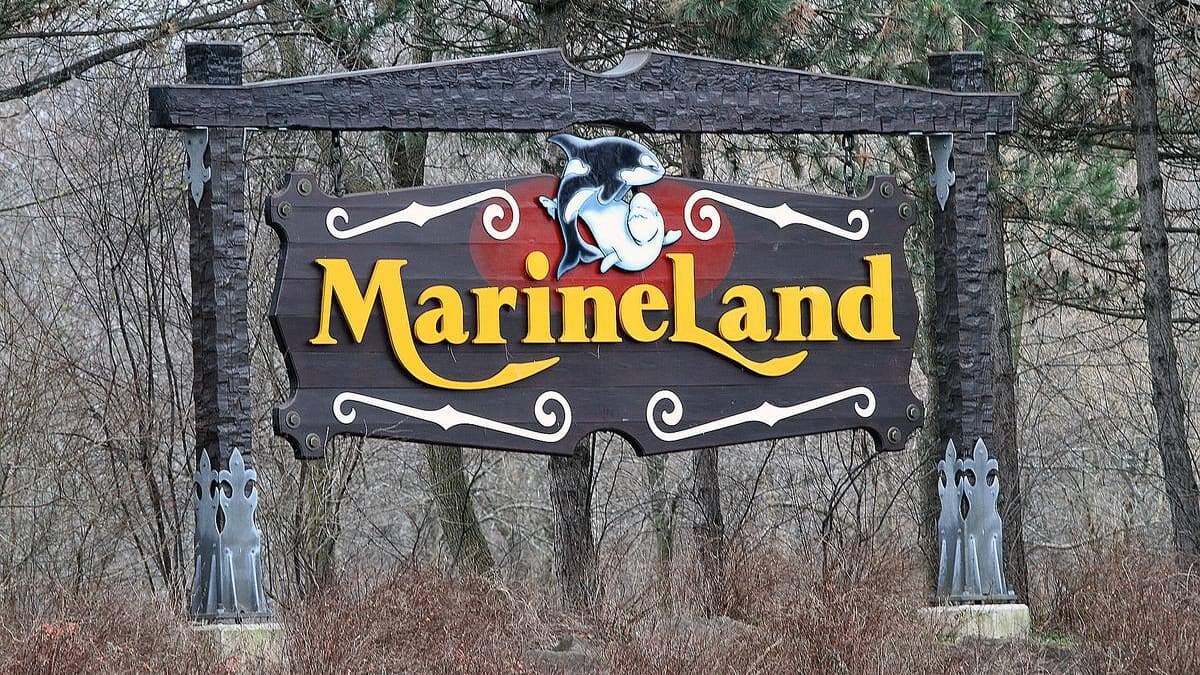 Une accusation déposée contre le parc Marineland à Niagara