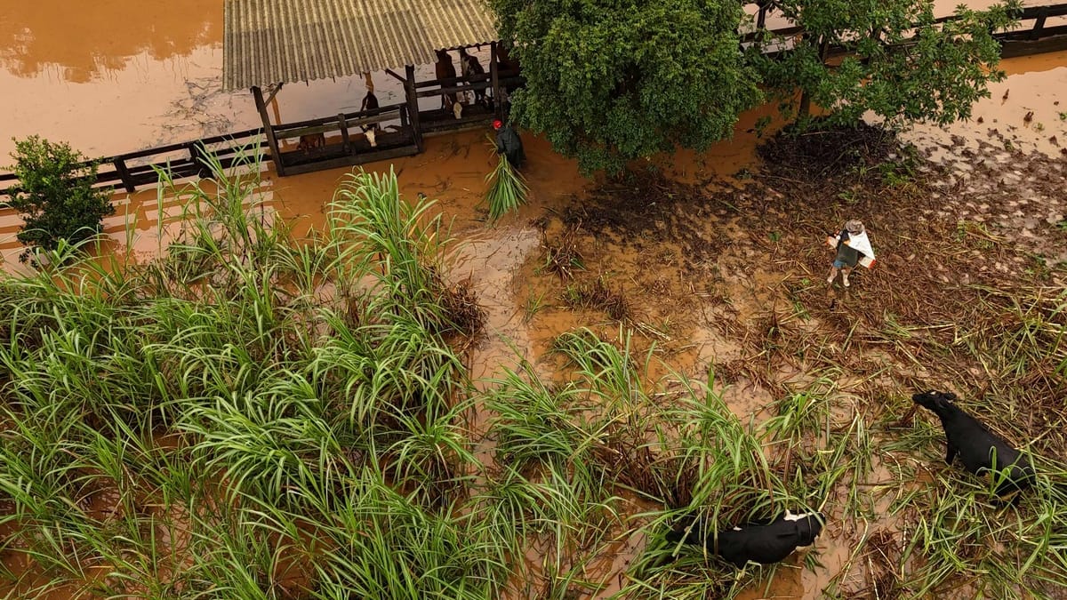 Southern Brazil is under water, 29 dead and 60 missing Southern Brazil is under water, 29 dead and 60 missing