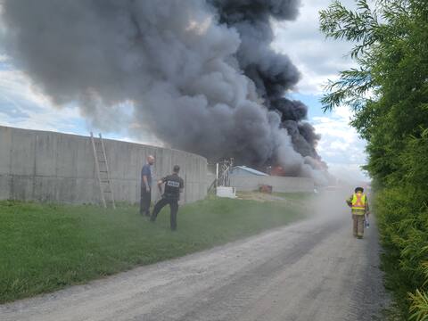 Incendie majeur à Saint-Hyacinthe: plus de 1000 porcs seraient morts