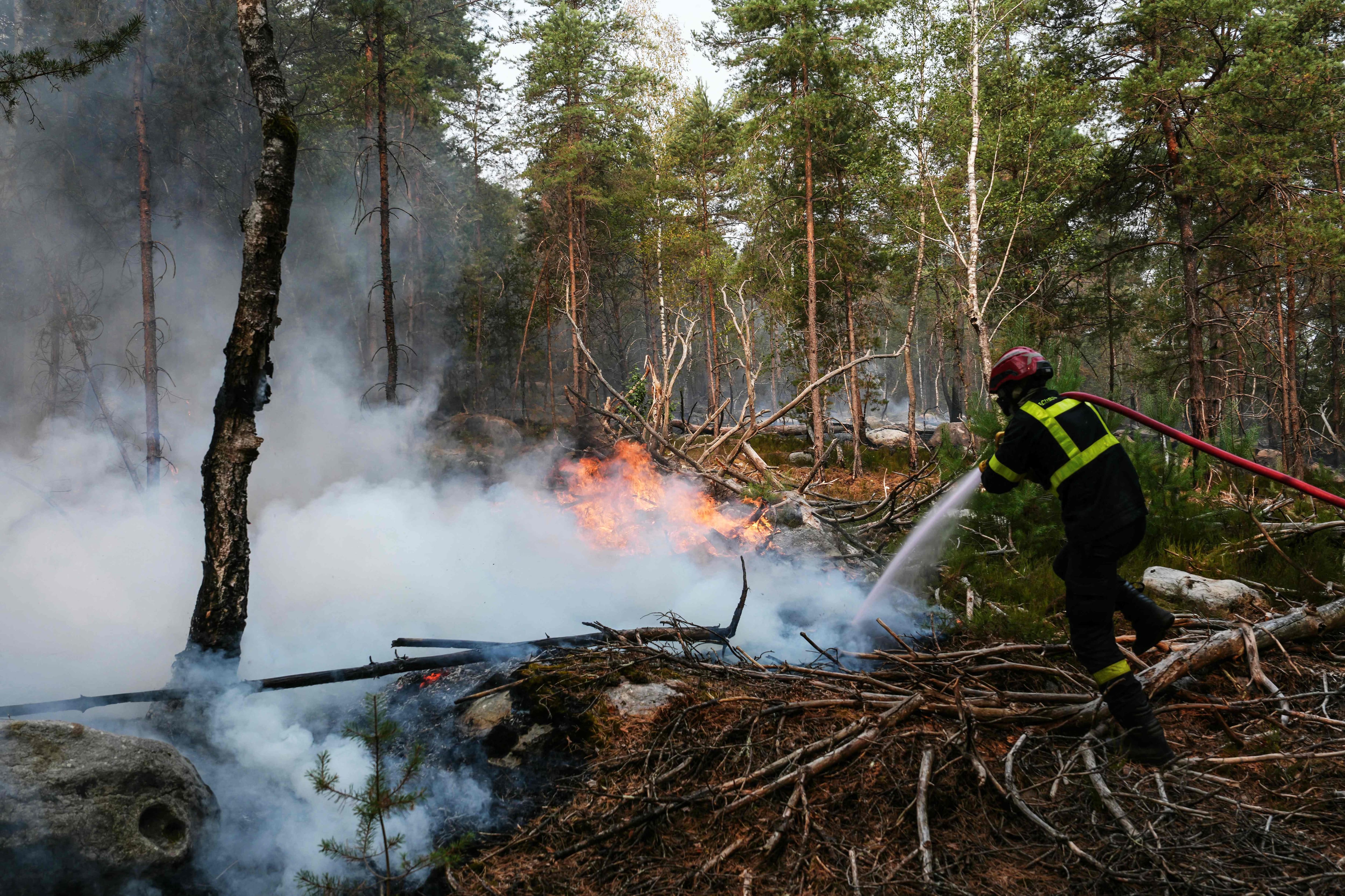 Fontainebleau forest fires: six people arrested, including a volunteer firefighter who admitted the facts