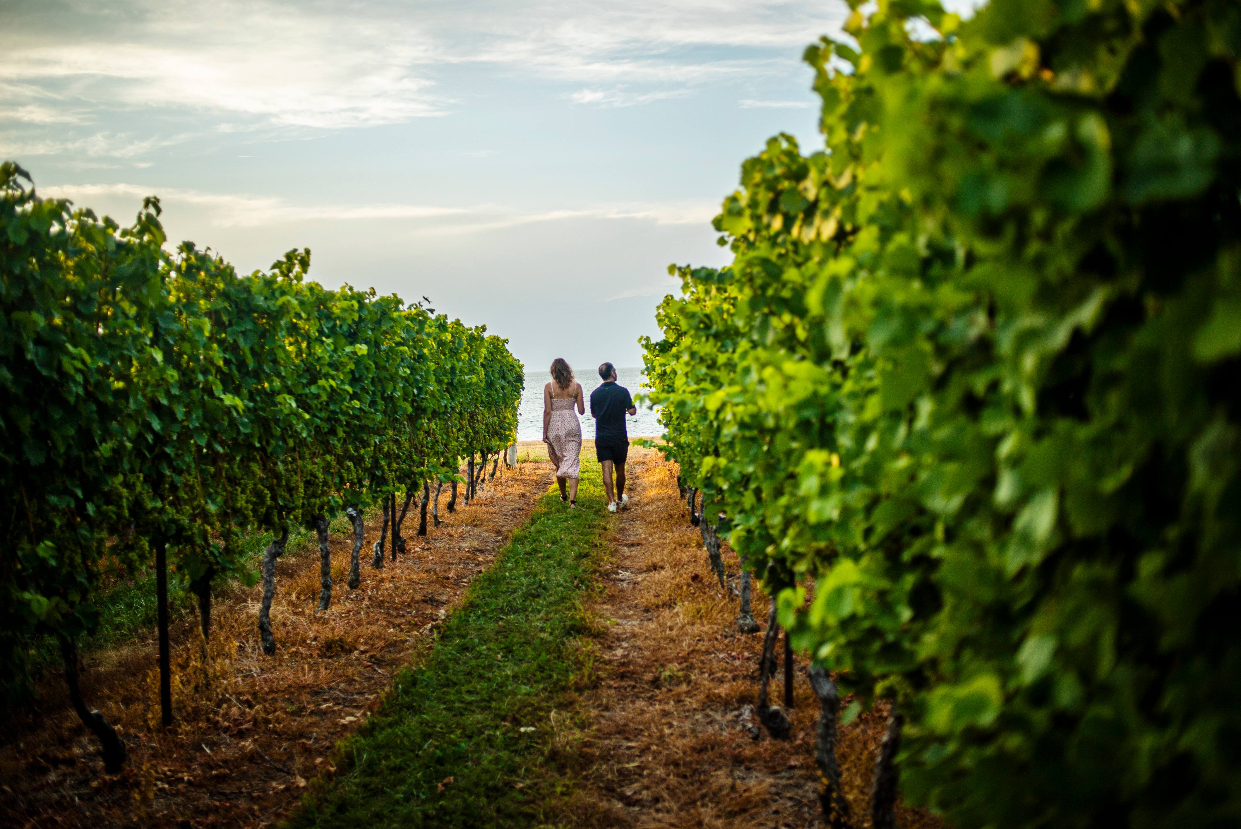 7 attraits incontournables de l&rsquo;Ontario pour un road trip estival m&eacute;morable