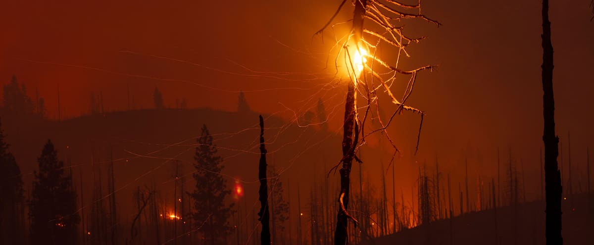 Le «Oak Fire» se propage à toute allure en Californie