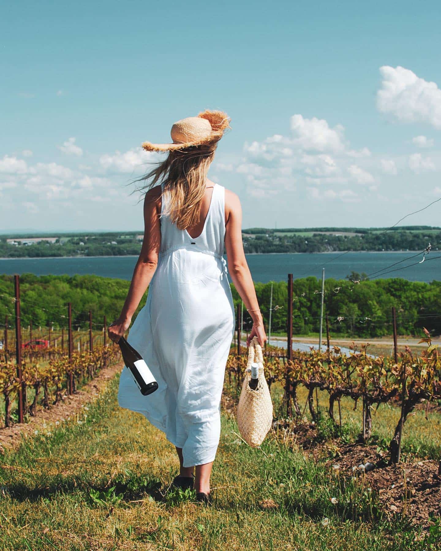 Les meilleurs vins québécois pour la Saint-Jean