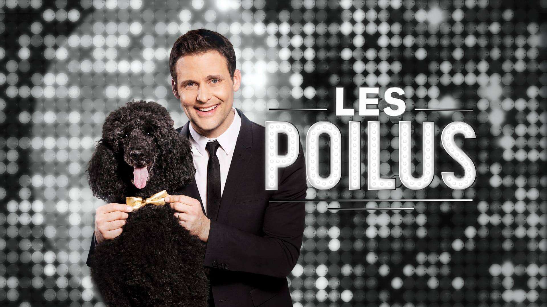 Voici notre palmarès des 10 chiens les plus marquants de la télé | 7 Jours
