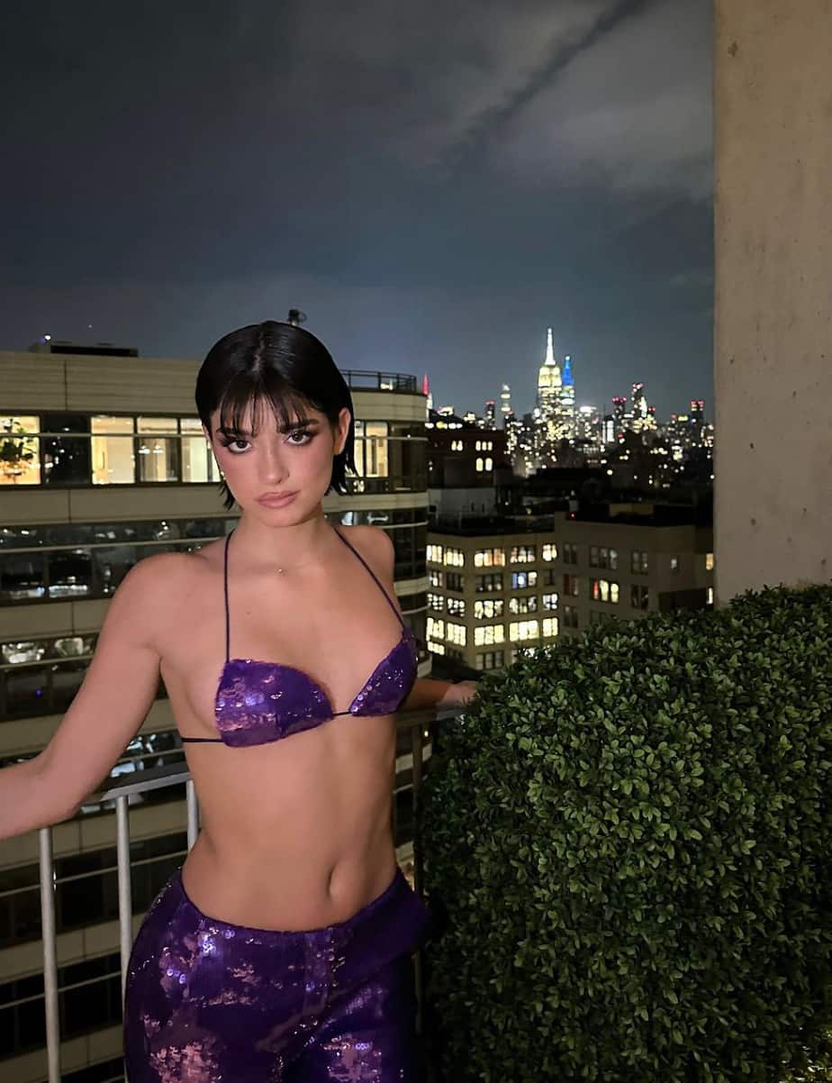 Dixie D’Amelio se dévoile dans un haut transparent