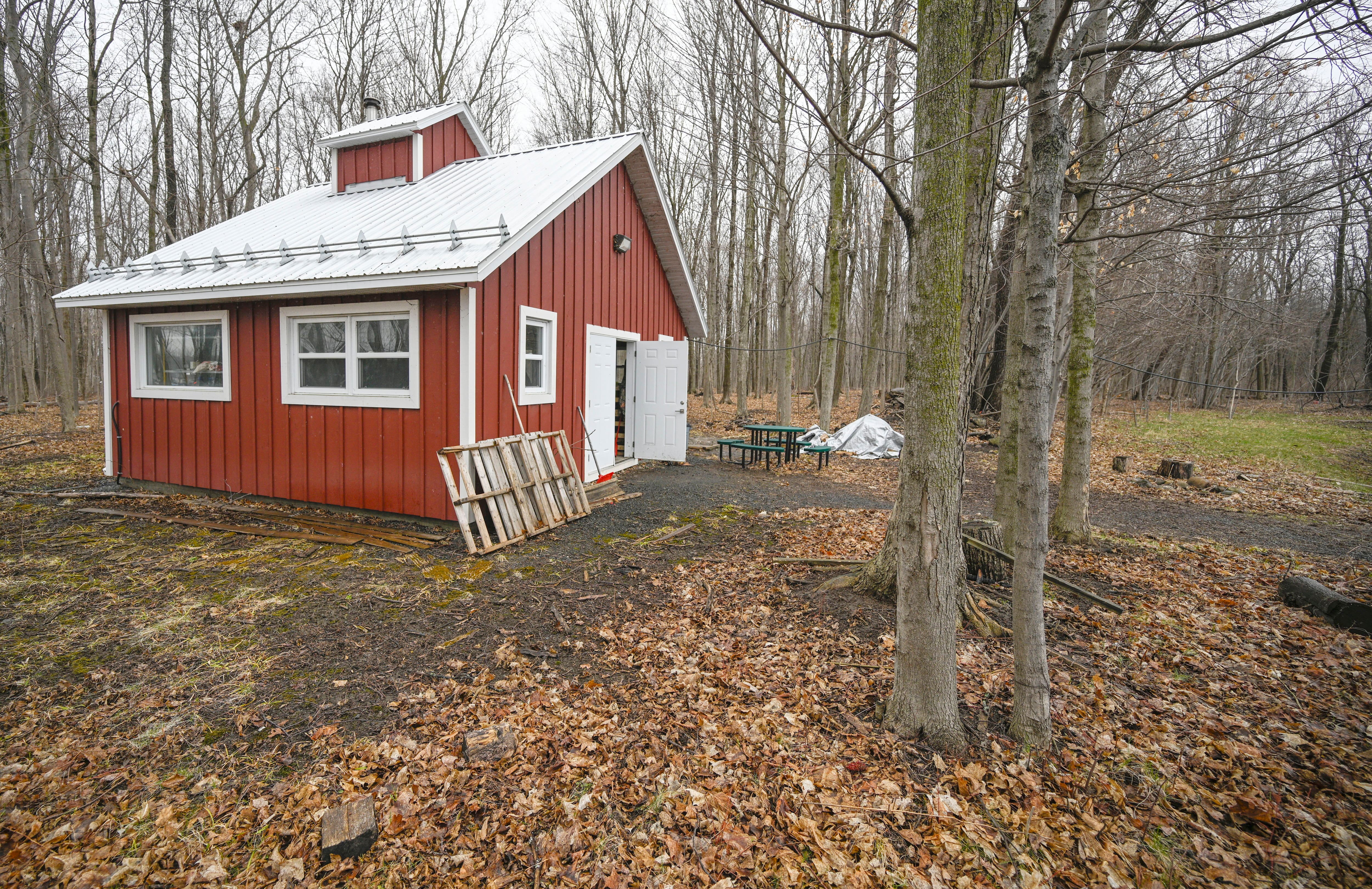 Du plomb dans l’eau d’érable: une école de Kahnawake interrompt sa saison des sucres
