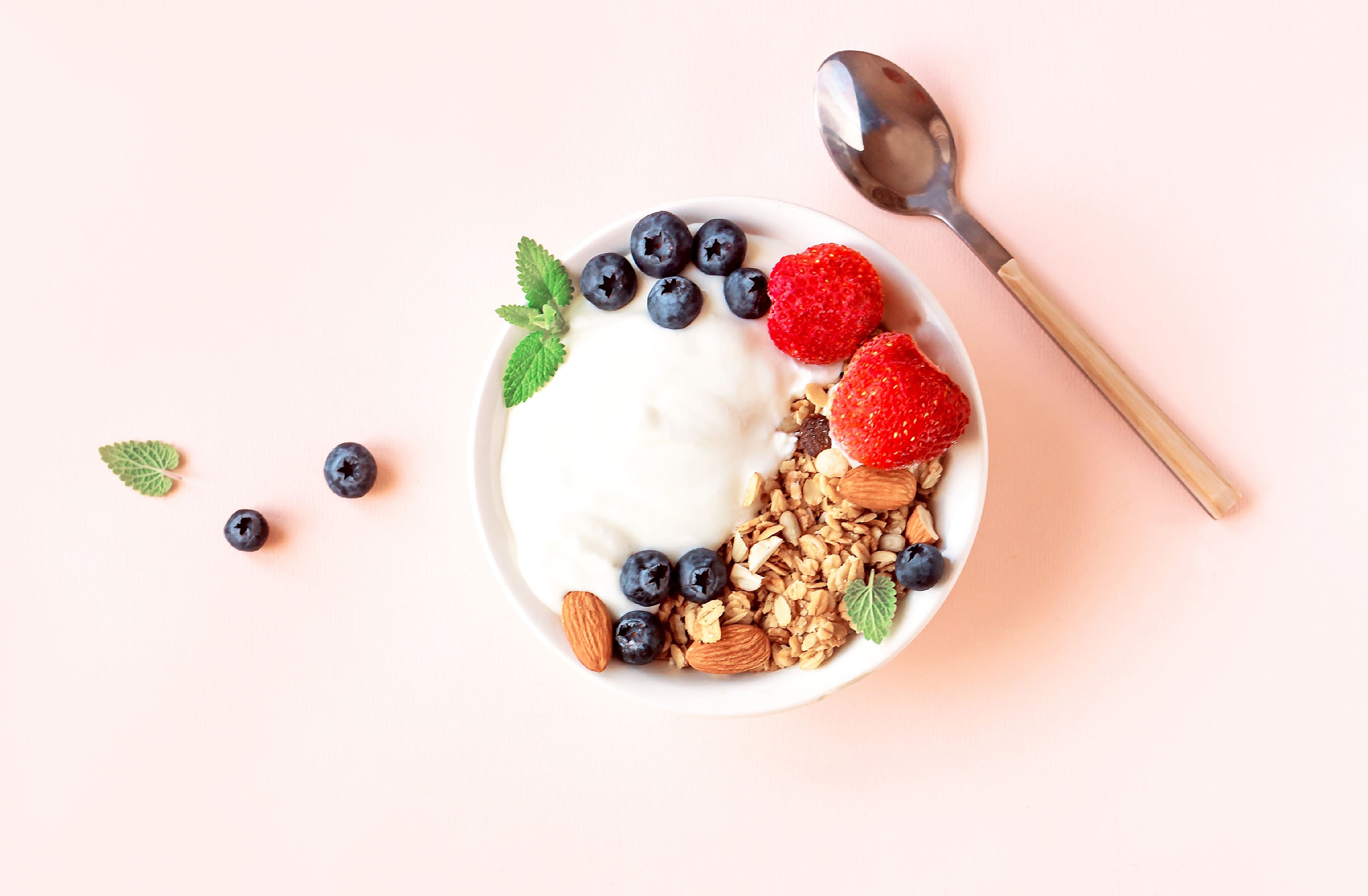 Griechischer Joghurt und Skyr im Test Germanic Nachrichten