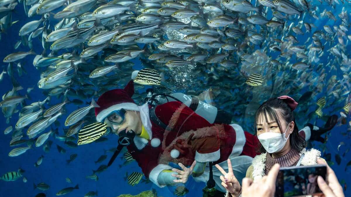 EN DIRECT | Les derniers développements sur le coronavirus