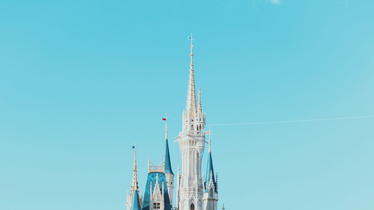 Crachat et coups: deux touristes se battent au sang... pour des billets de Disney World