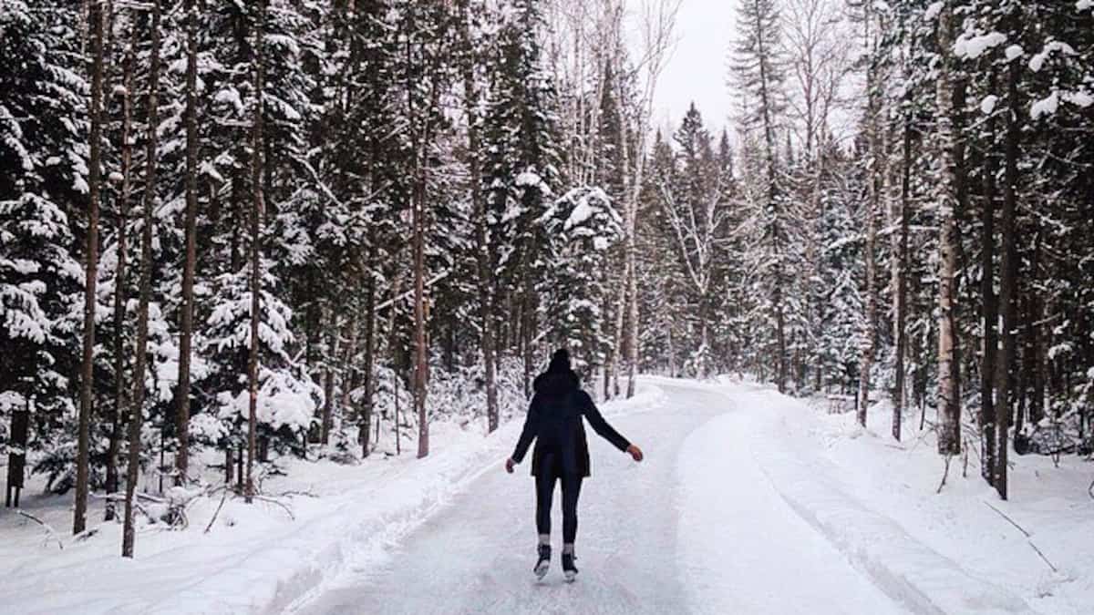 Le Sentier Glacé De La Bleuetière Goulet Centre-Du-Québec . Le Thème De La Santé, Des Maladies Et Du Médecin.