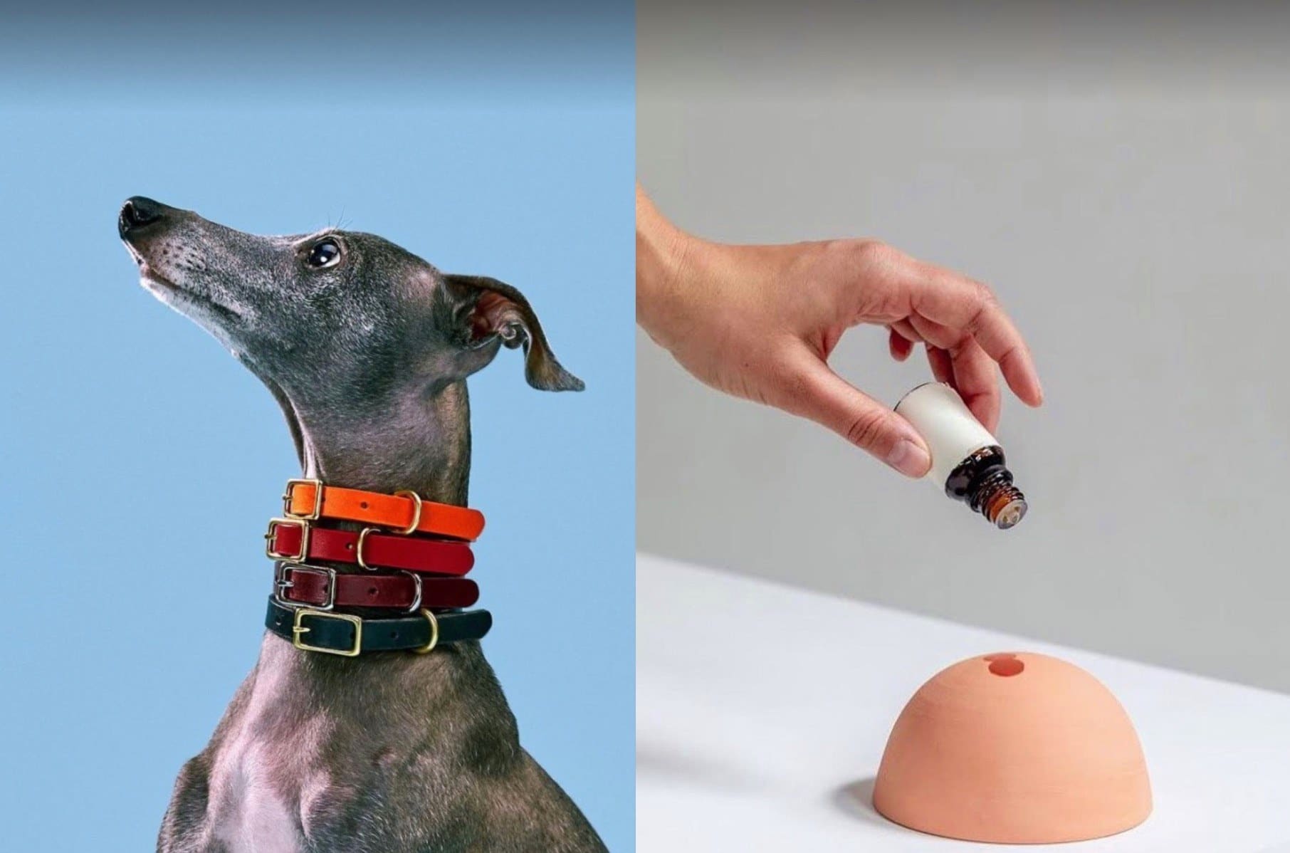 Un marché des Fêtes écoresponsable ce week-end 