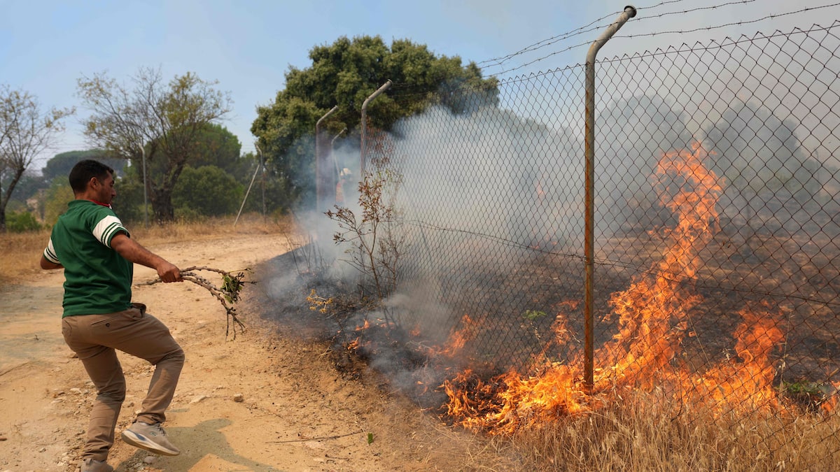 Fire out of control near Valencia, Spain, 15,000 evacuated Fire out of control near Valencia, Spain, 15,000 evacuated
