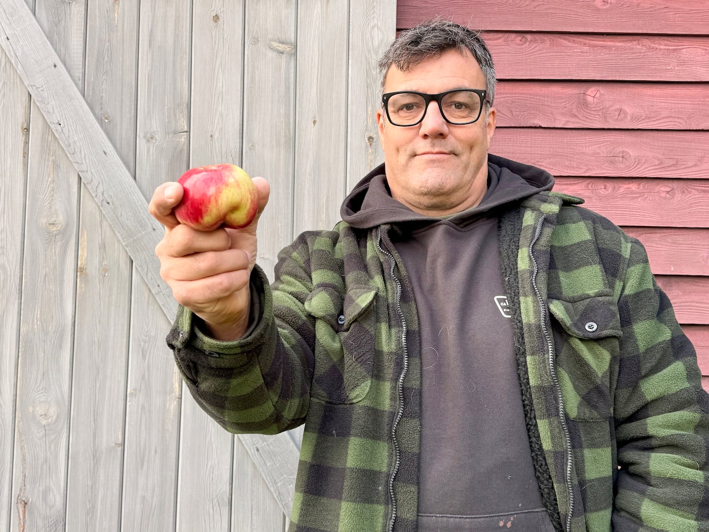Des intempéries printanières donnent une forme insolite aux pommes d'un verger estrien