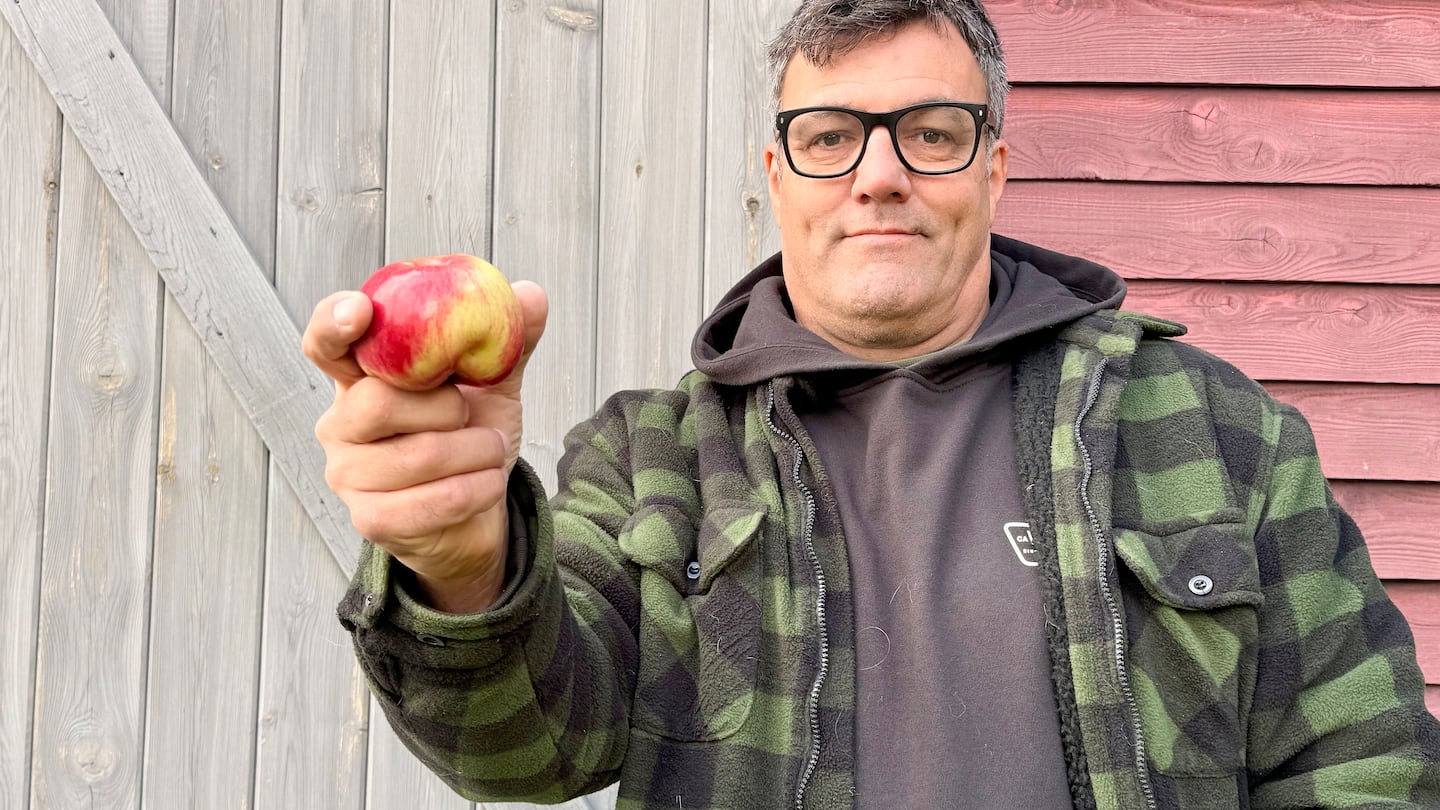 Des intempéries printanières déforment la récolte de pommes d'un producteur estrien