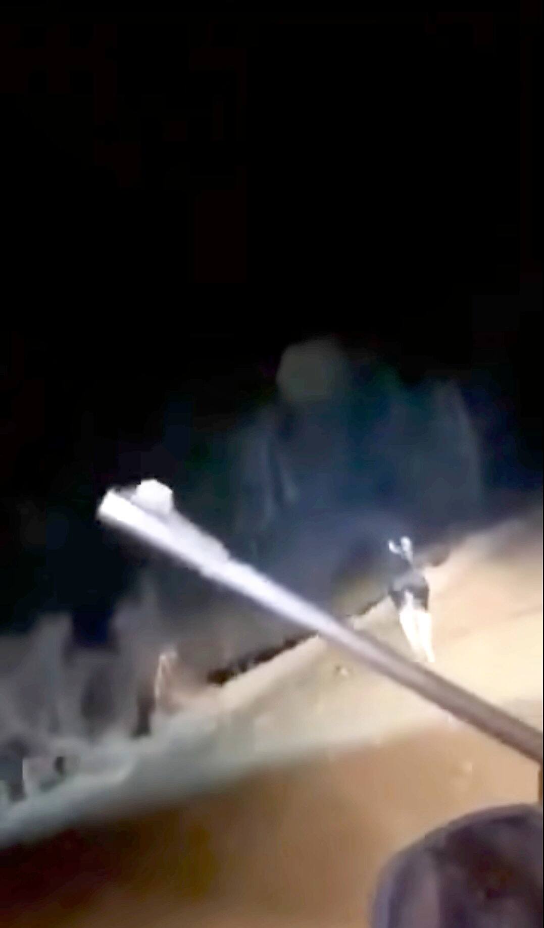 «La nuit, les tirs me réveillent»: des braconniers autochtones terrorisent des résidents et agriculteurs