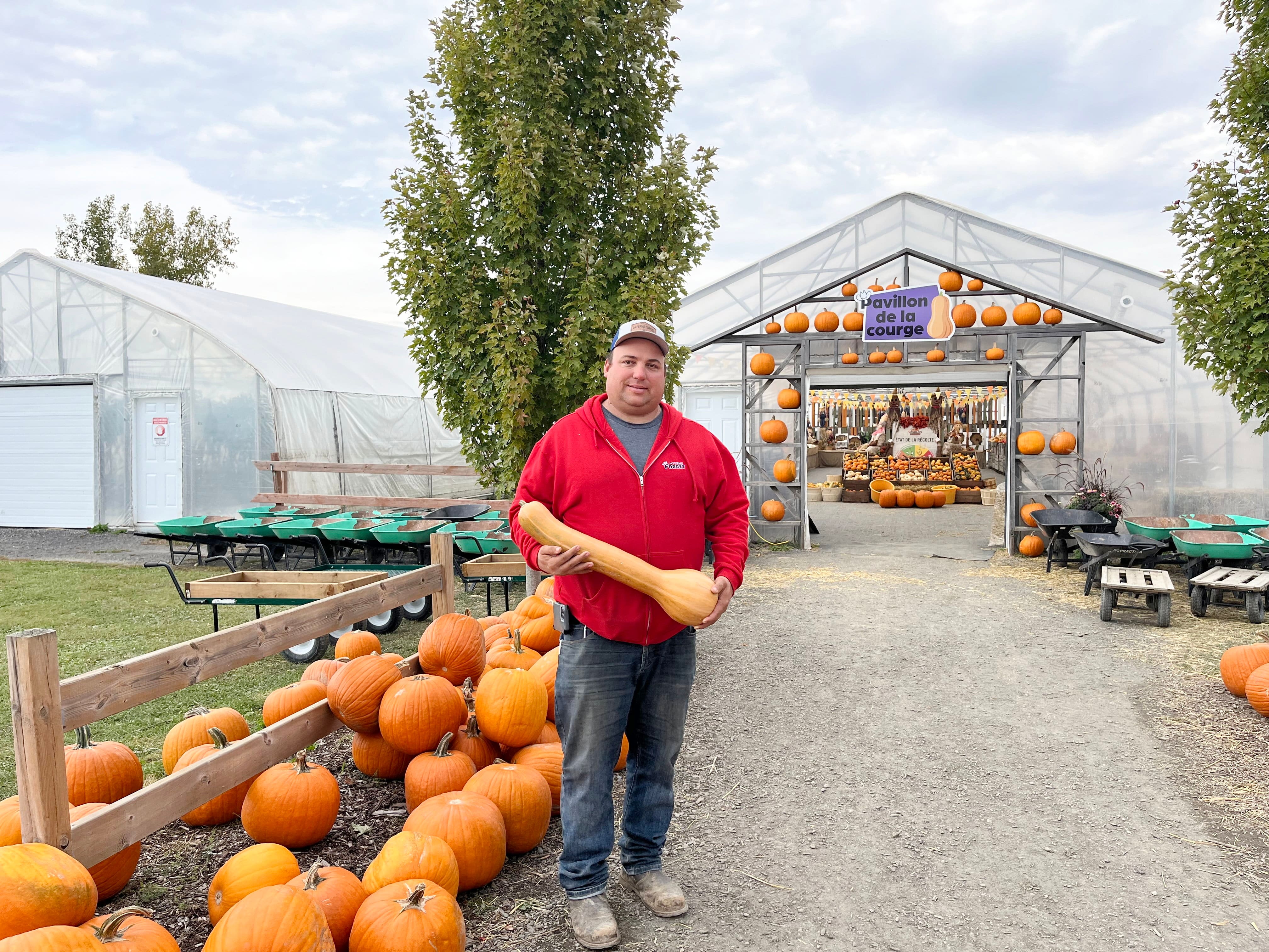 «Les gens achètent comme jamais auparavant»: plusieurs Québécois font des réserves pour avoir des courges cet hiver