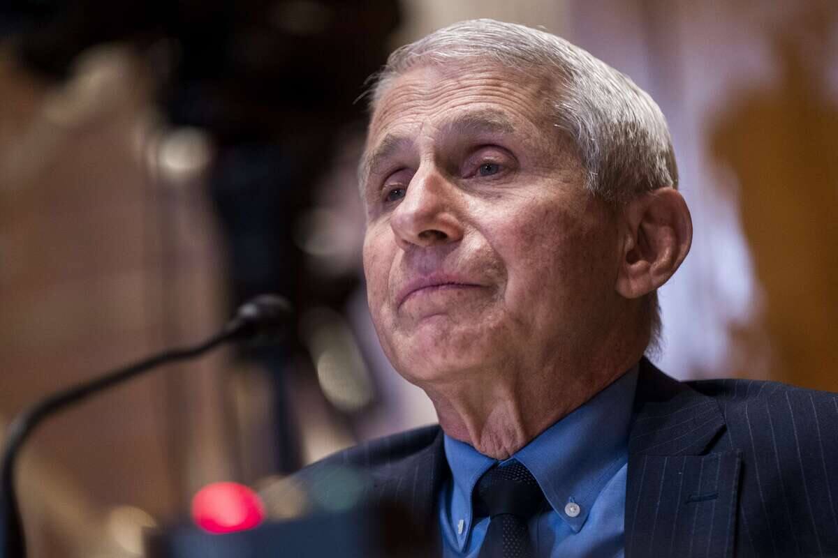 Le Dr Anthony Fauci, conseiller de Biden, positif &agrave; la COVID-19