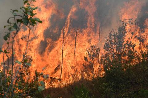 In mid-April, wildfires spread south of the Honduran capital.