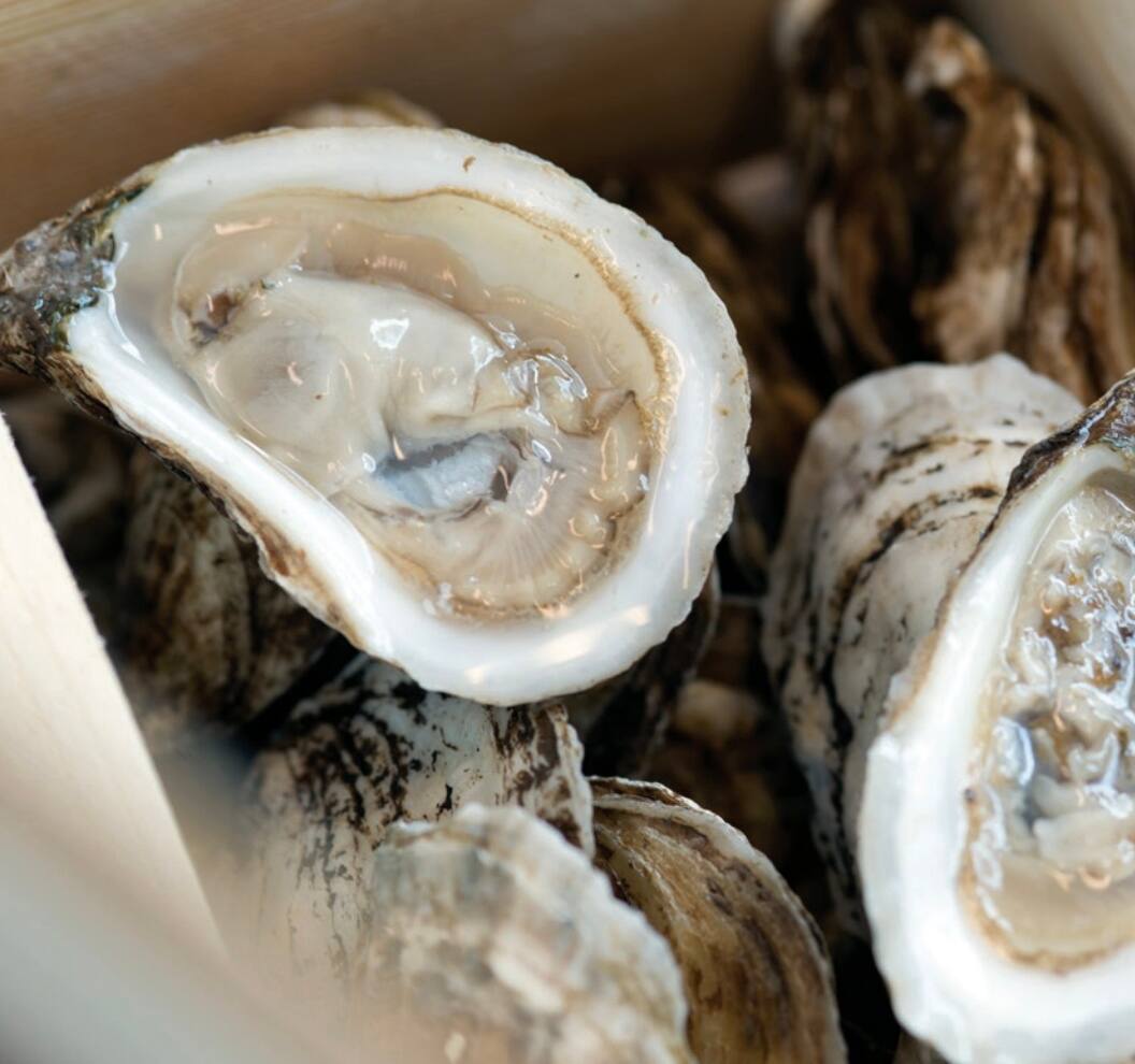 Un producteur d’huîtres craint la contamination