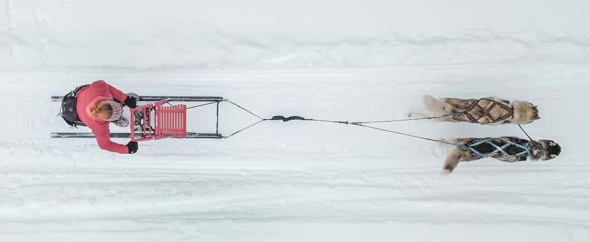 7 endroits où essayer la trottinette des neiges