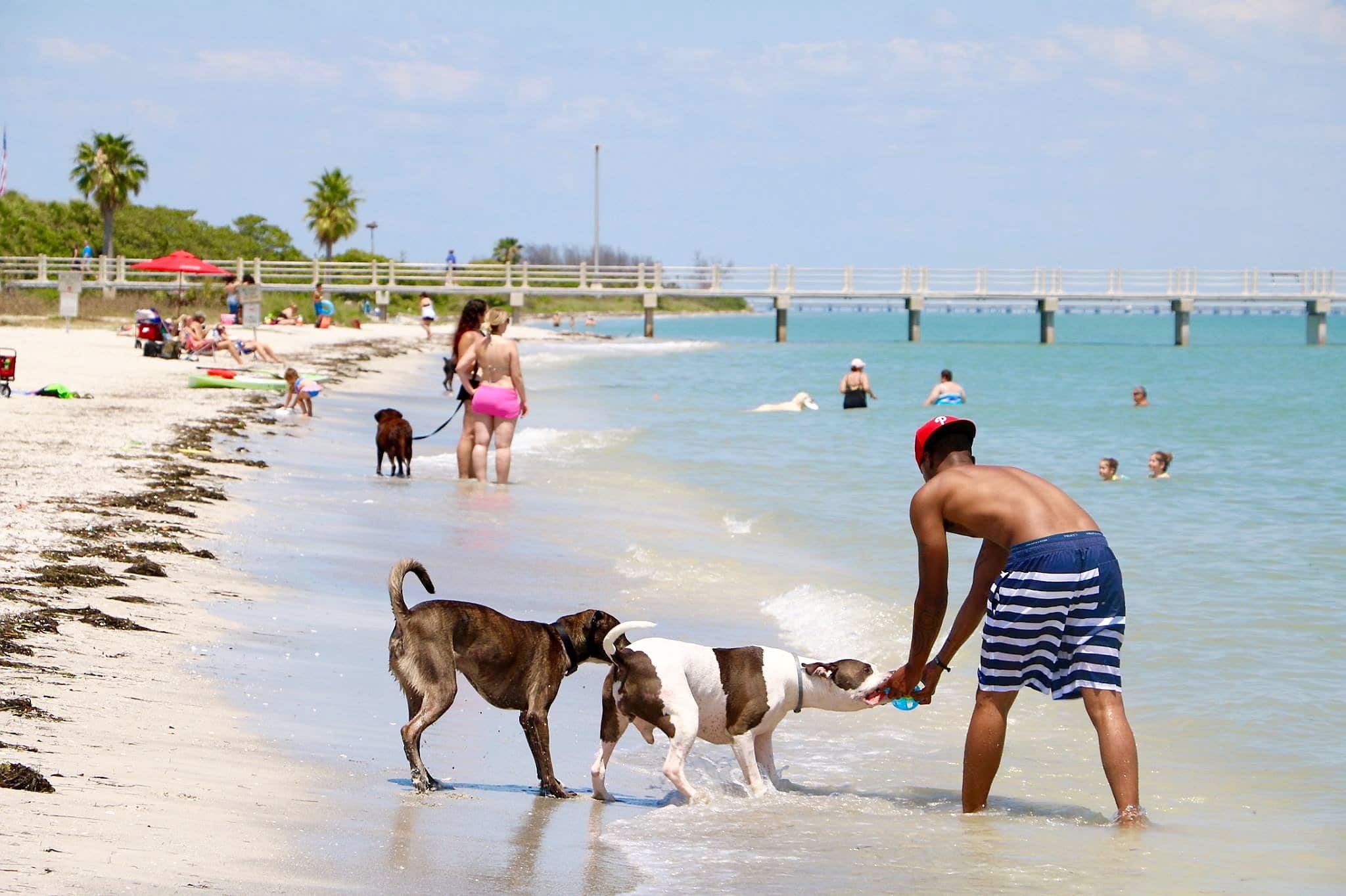 Les voyageurs québécois boudent la Floride