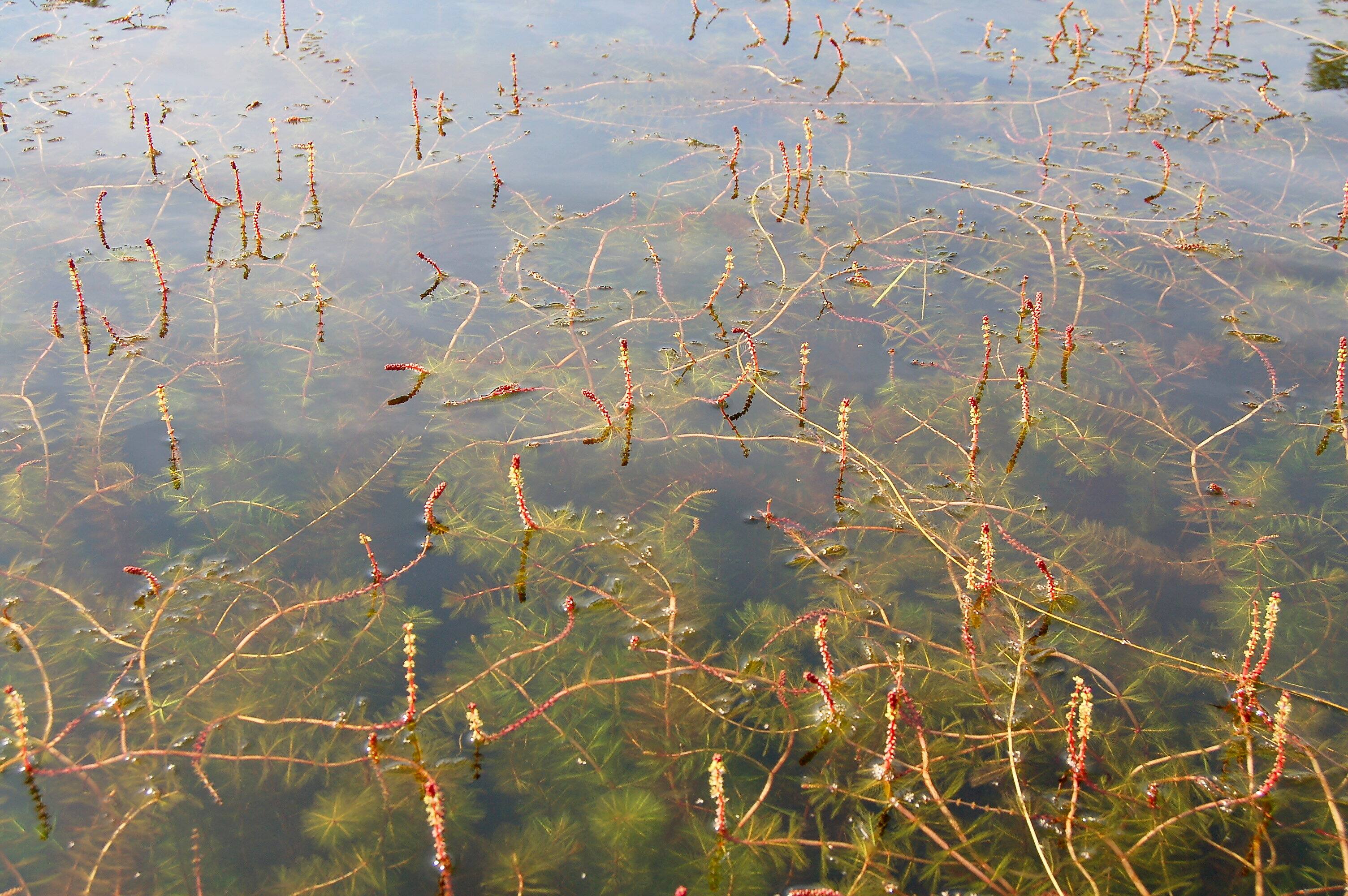 15566_02999721104069-9be1-4a37-9707-be3a90f7ae03_ORIGINAL.jpg?impolicy=crop-resize&x=0&y=0&w=3008&h=2000&width=400