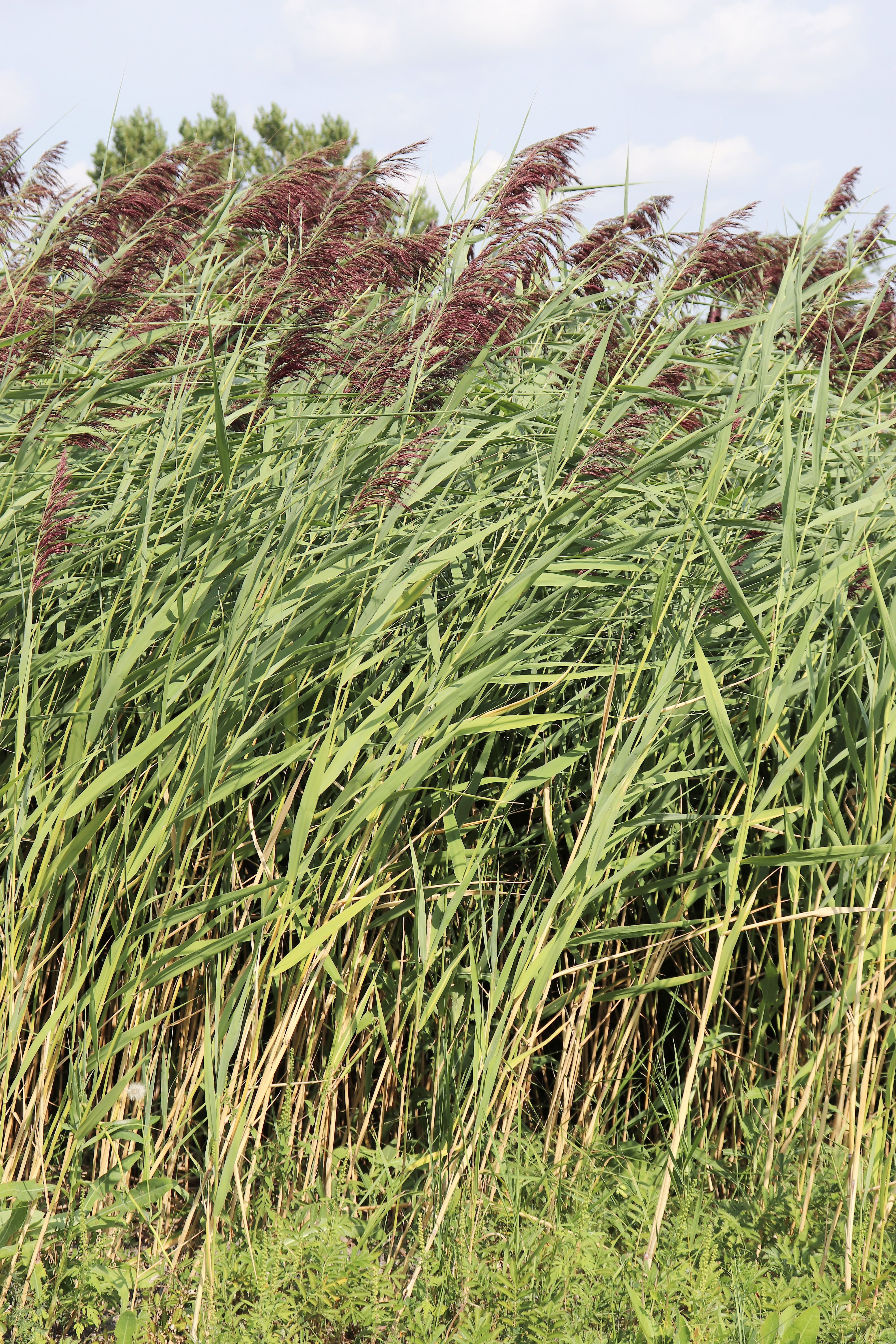 15608_030001e781b697-e5c0-4977-8abe-a81556265d8c_ORIGINAL.jpg?impolicy=crop-resize&x=0&y=0&w=4000&h=6000&width=400