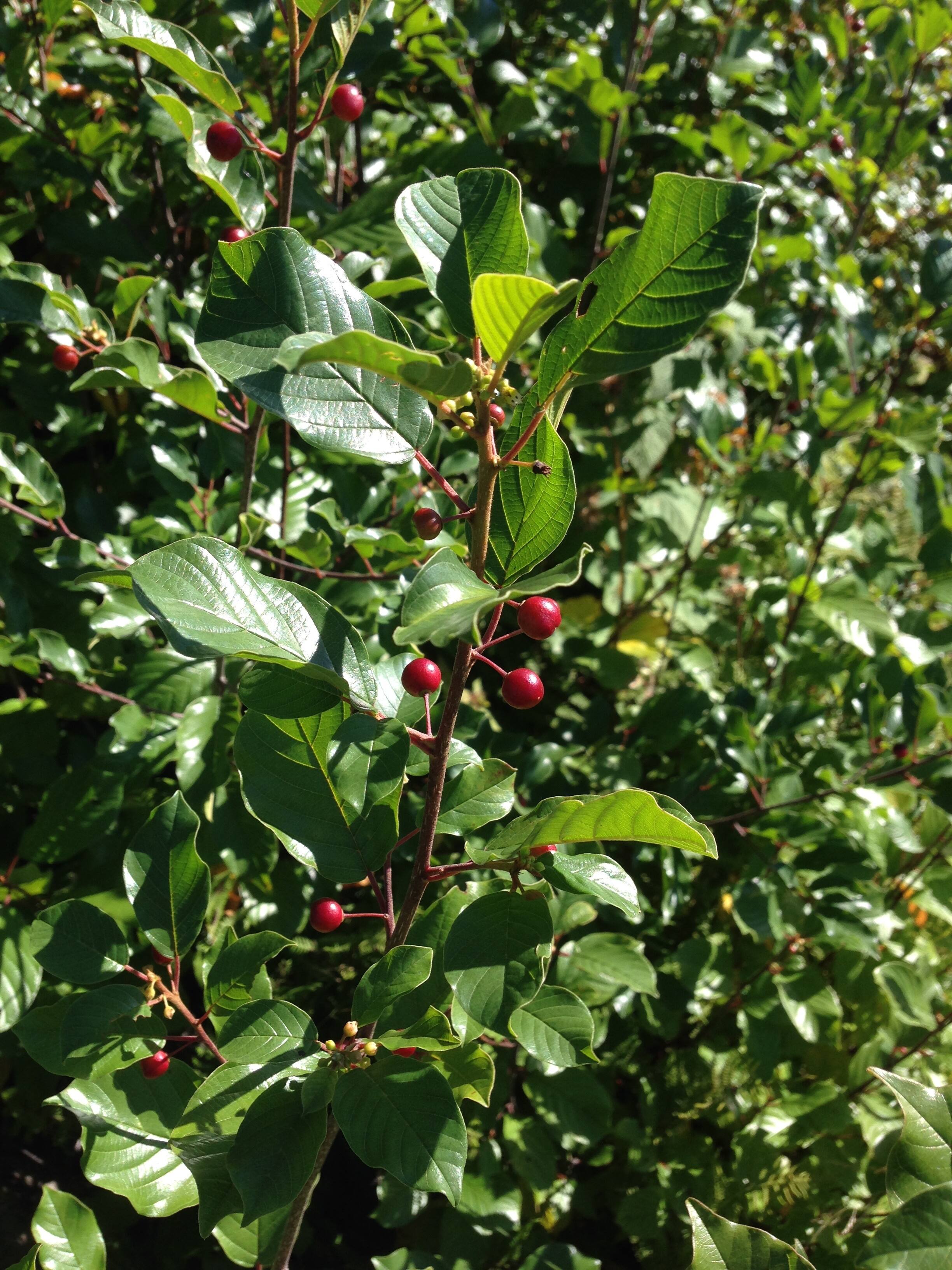 15612b0cb1b52-5124-4e74-b3b5-d9f5b076847e_ORIGINAL.jpg?impolicy=crop-resize&x=0&y=0&w=2448&h=3264&width=400