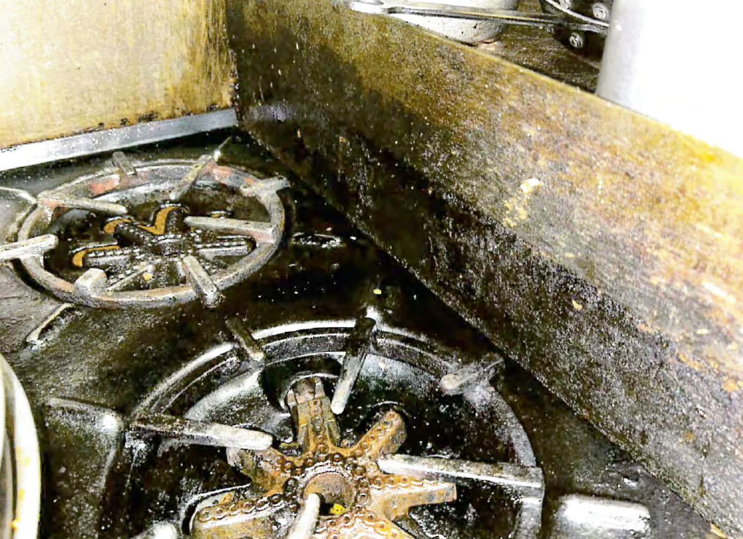 Crasse et vermine au resto Siciliana de Montréal