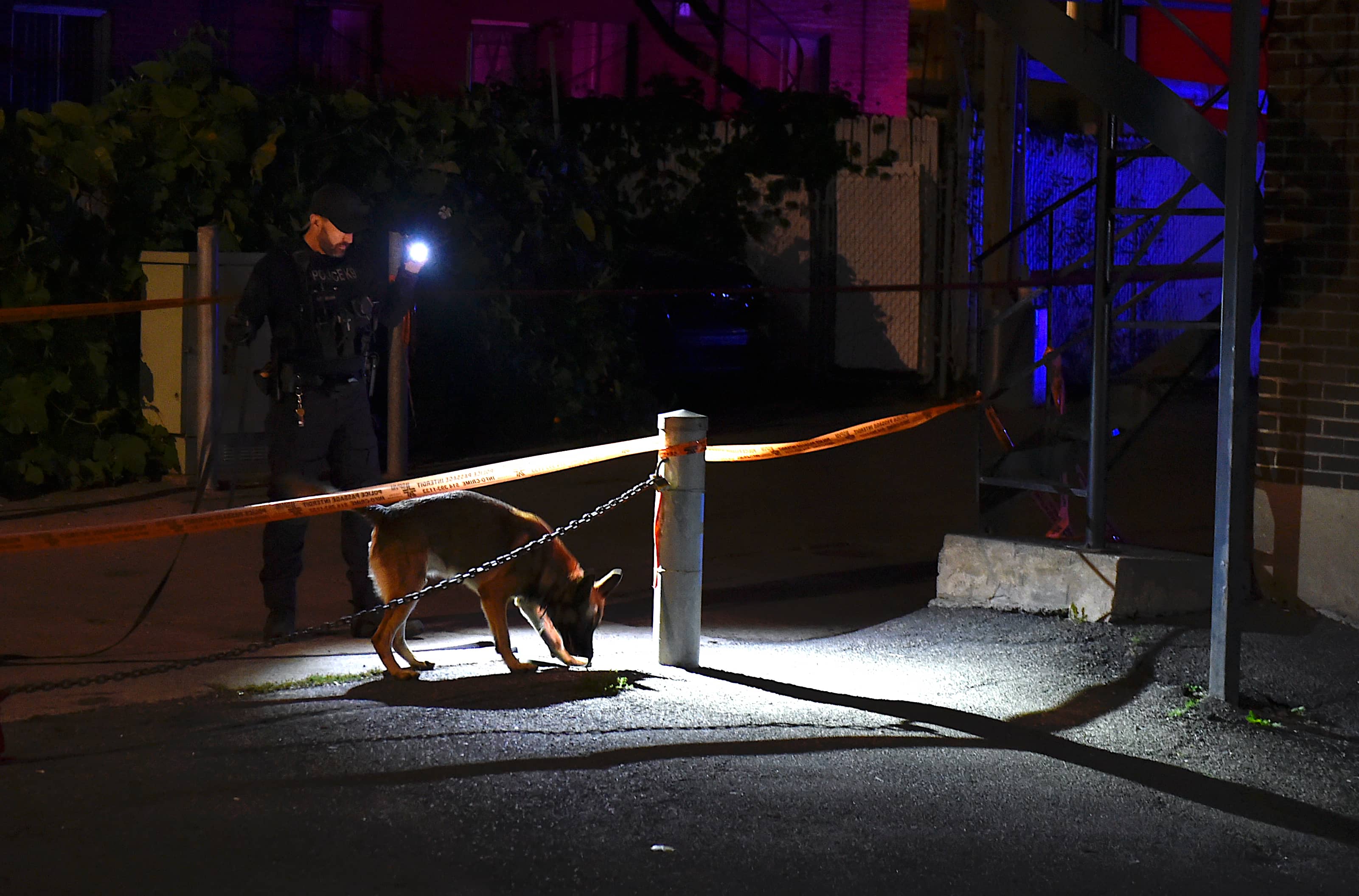 Un homme âgé de 22 ans a été atteint par balle lors d’une tentative de meurtre par arme à feu survenue dans une ruelle près de l’avenue Wiseman et du boulevard Crémazie, dans le quartier Parc-Extension à Montréal, vers 23h, le vendredi 11 septembre 2026. 
PASCAL GIRARD/AGENCE QMI