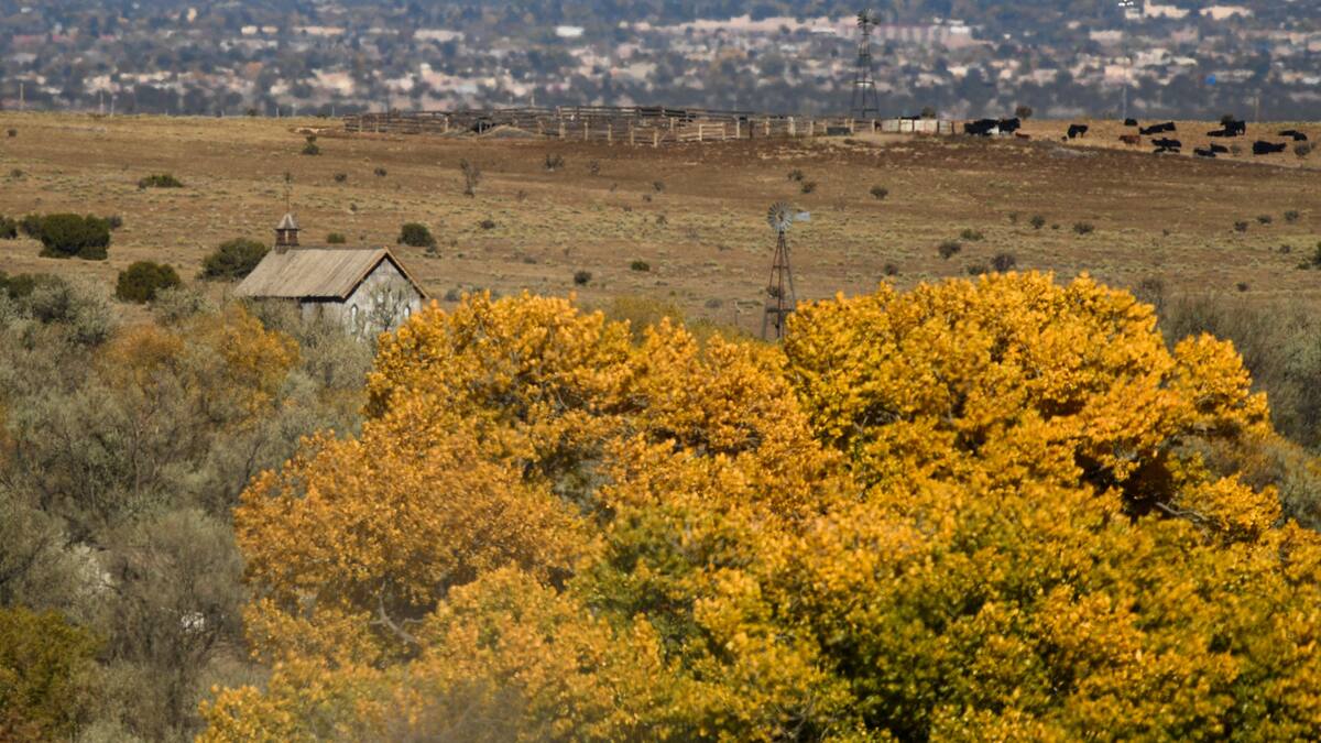 Tir mortel de Baldwin: l'armurière ignorait la présence de «balles réelles» sur le plateau