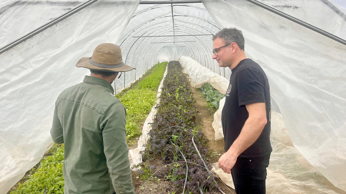 À la découverte de l'Ontario: le luxe tranquille du Royal Hotel de Picton