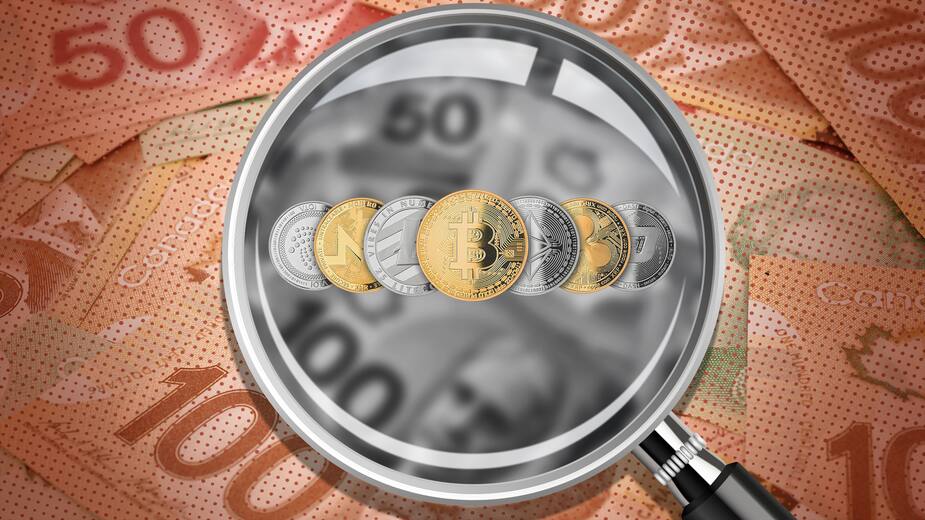 Image principale de l'article 5 cryptos à ne plus quitter des yeux