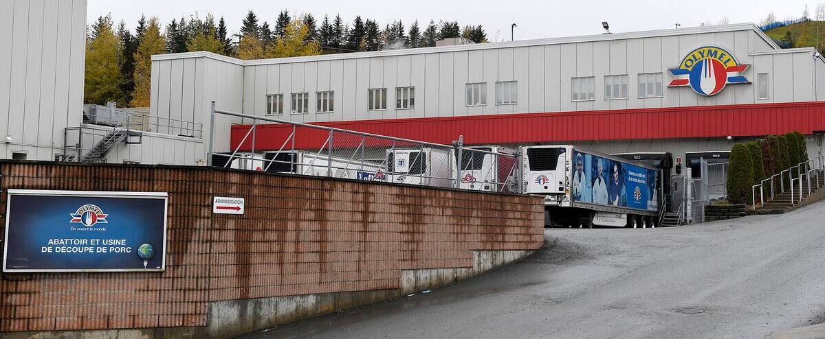 Major COVID-19 outbreak: Olymel workers are not reassured 1