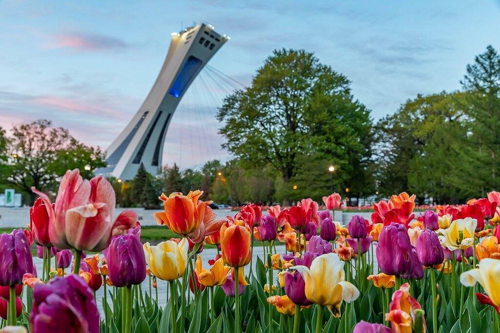 Les 10 Plus Beaux Parcs De Montreal Salut Bonjour
