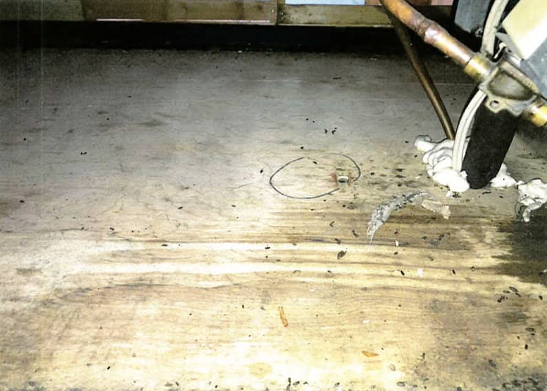 Grande quantité d'excréments sur le plancher.