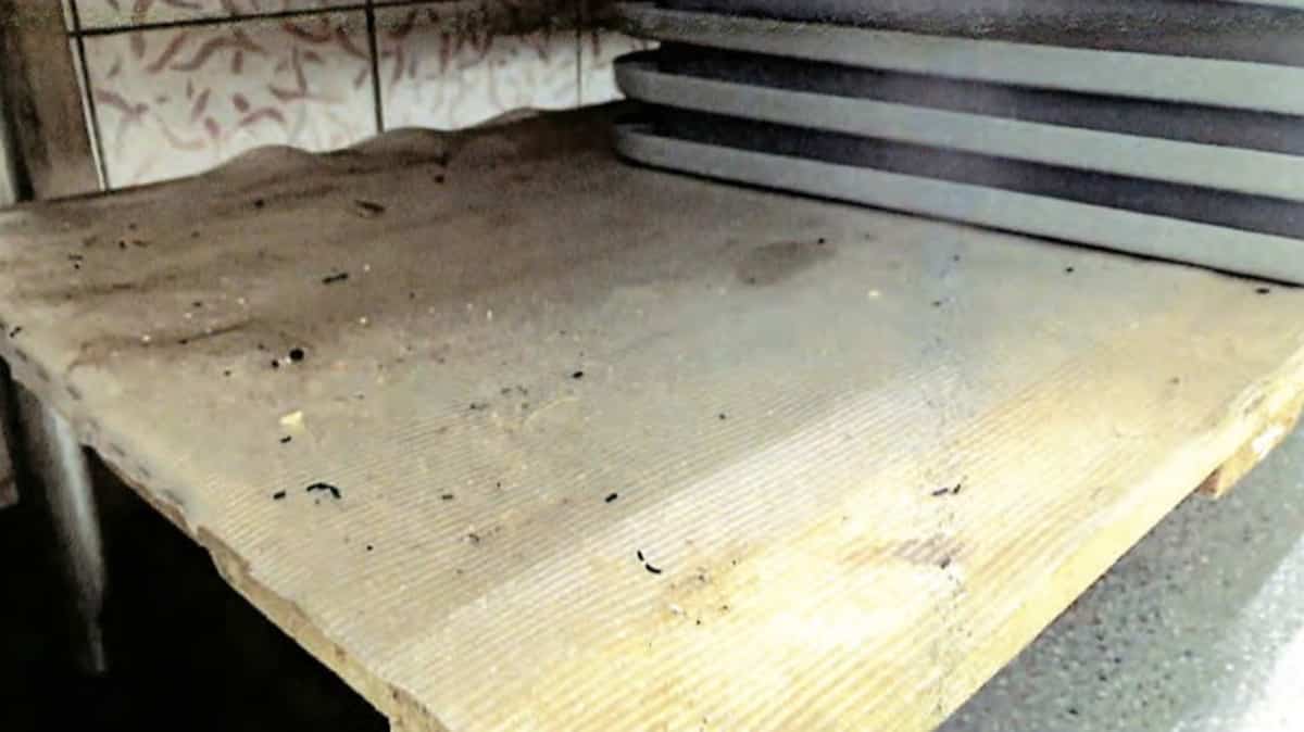 Infestation de souris à la boucherie Champfleuri de l’avenue Mont-Royal