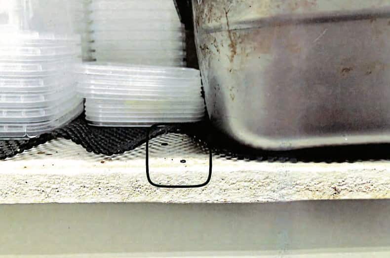 Crottes de souris près de contenants de plastique.