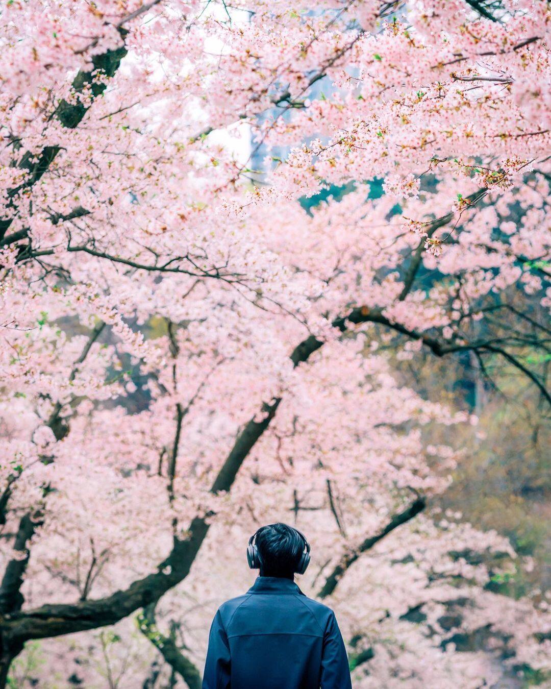 3 escapades urbaines pour profiter du printemps