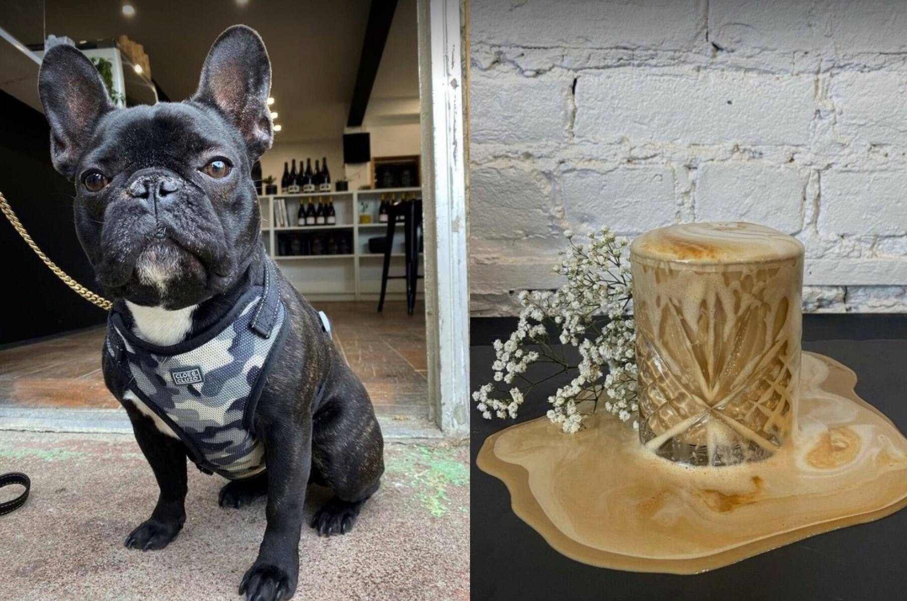 Élice : un tout nouveau café-resto de quartier