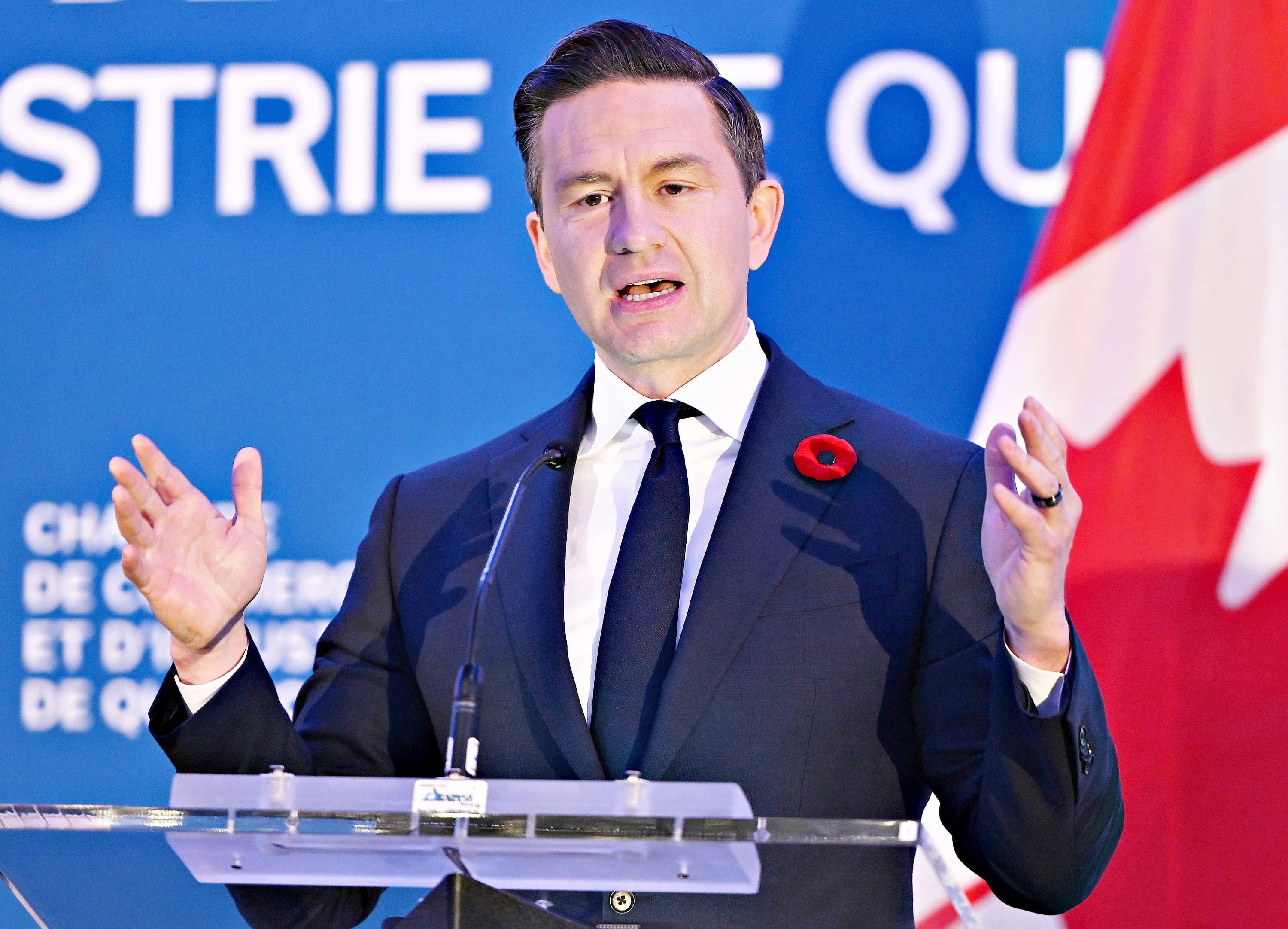 Avec un score de plus de 87%