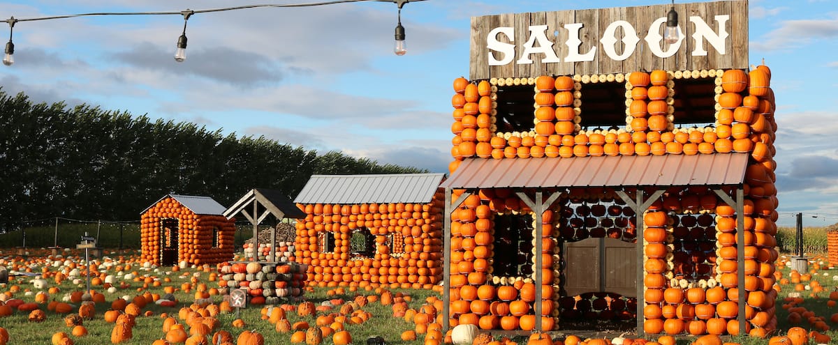 Citrouilleville: unique et magique